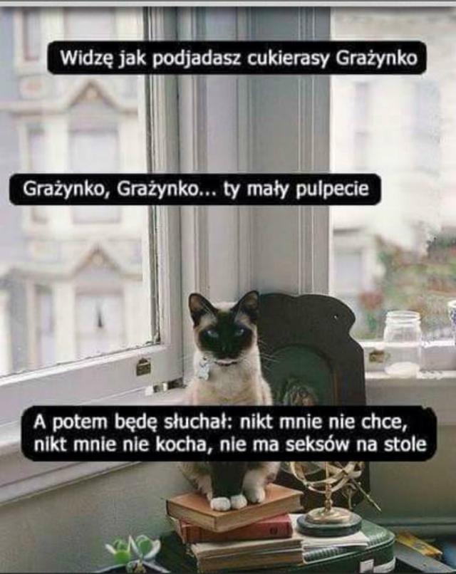 Wpis zawszefantazyjnaa