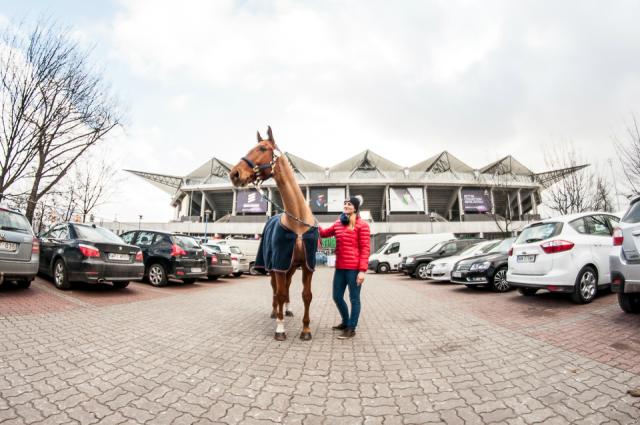 Wpis equinephoto