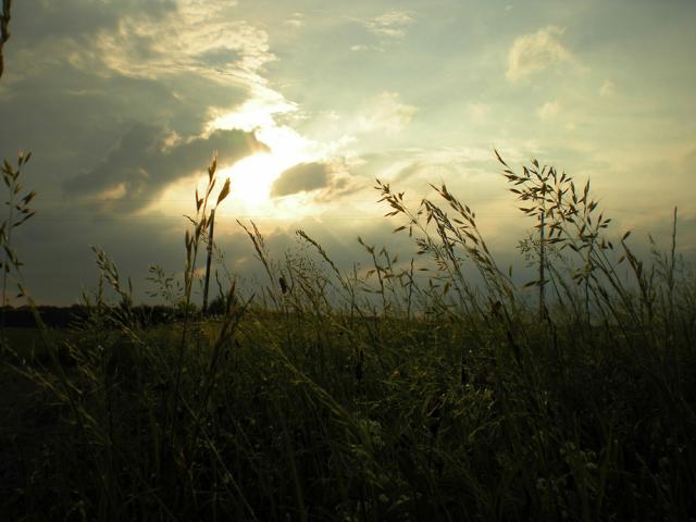 burza