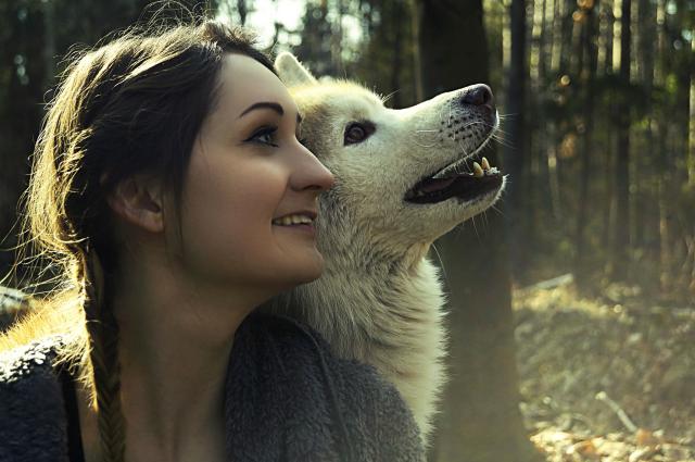 The wolf