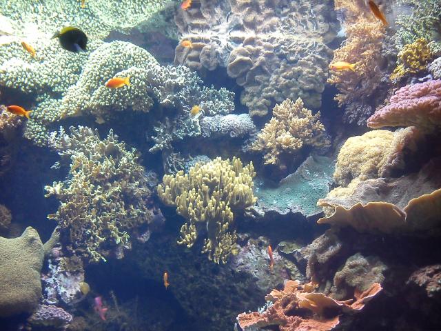 Oceanarium #Lisbon #Trip#Erasmus