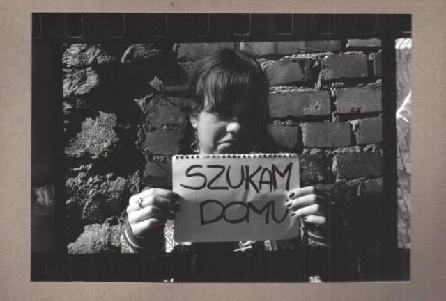 Szukam.