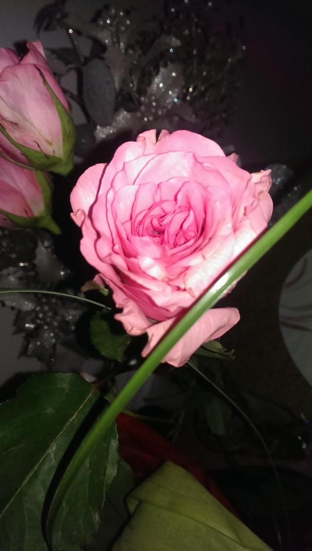 Wpis beatifulgarden