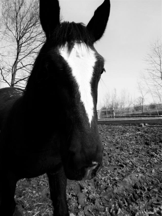 Wpis lozolekphoto