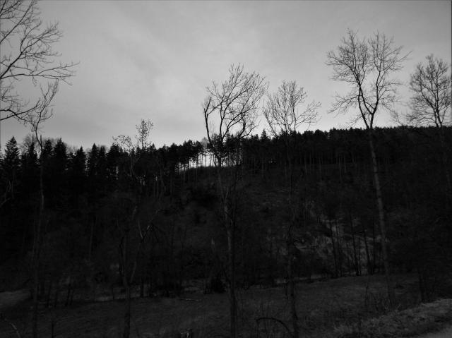 Black and white ...