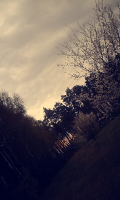 Wpis niecoinna