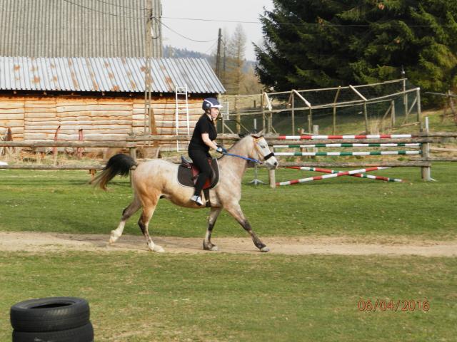 Wpis orlufia
