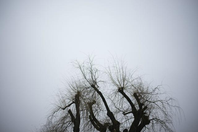 Lanckorona