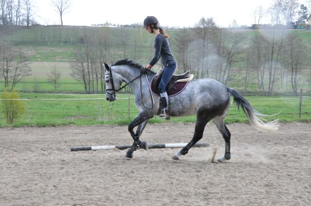 Wpis cocobolero