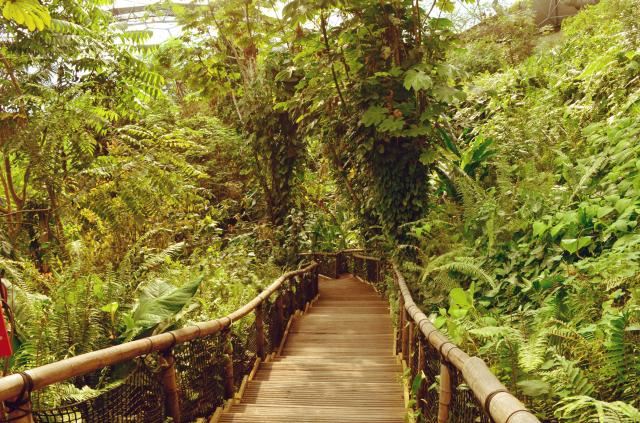 Eden Project