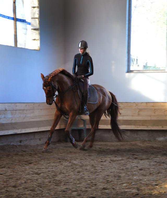 Wpis cocobolero