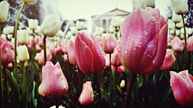 hello may.