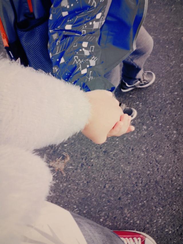Lovee 