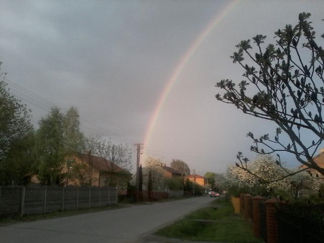 Wiosna wiosna wiosna ach to ty 
