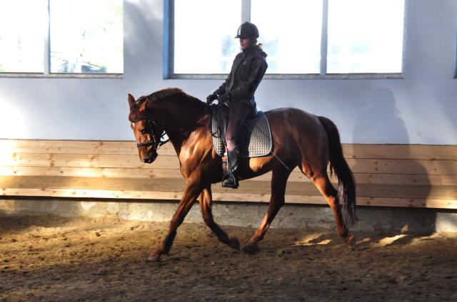 Wpis cocobolero