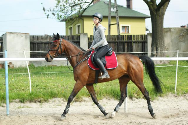 Wpis niki14072001