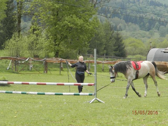 Wpis orlufia