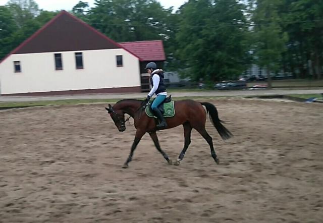 Wpis niki14072001