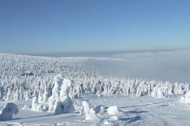 Karkonosze