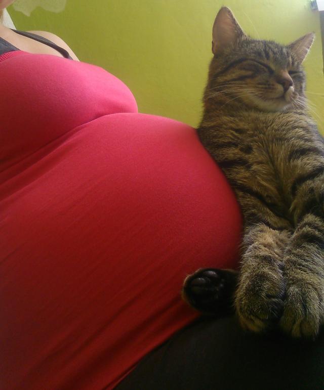 Wpis florekpotworekk