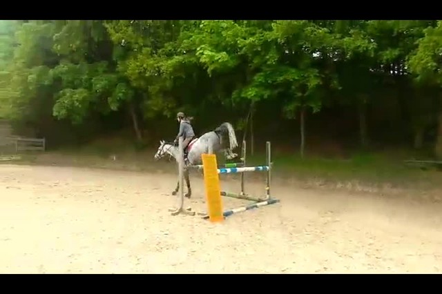 Wpis cocobolero