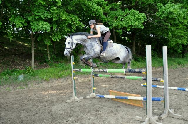 Wpis cocobolero