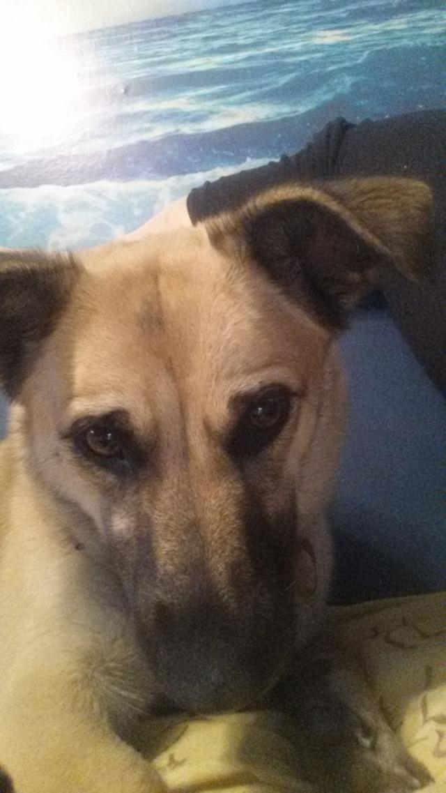 You.