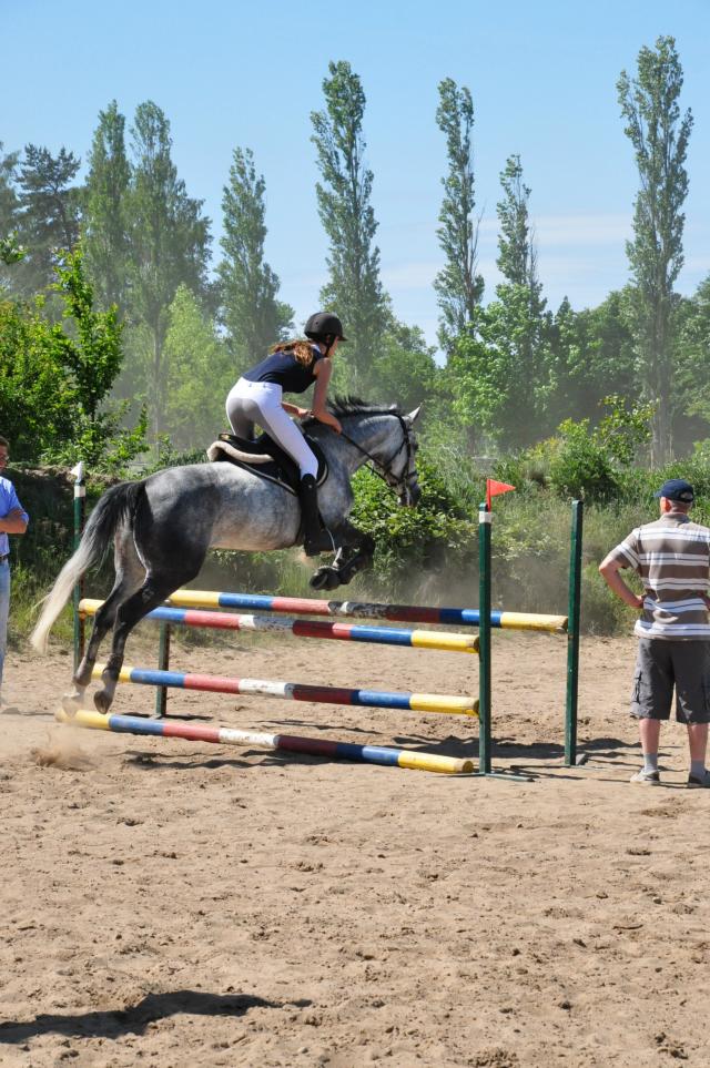 Wpis cocobolero