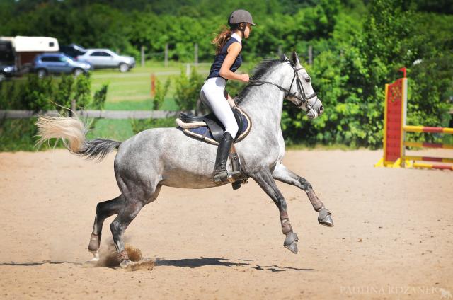 Wpis cocobolero