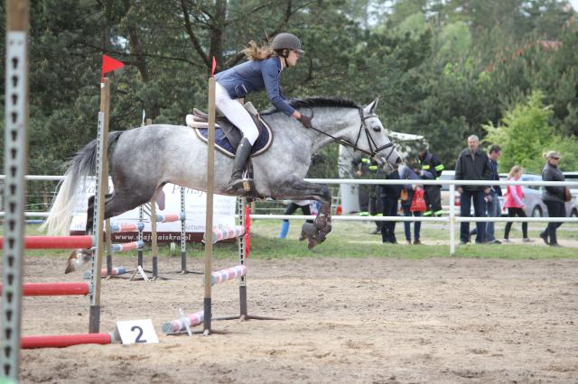 Wpis cocobolero