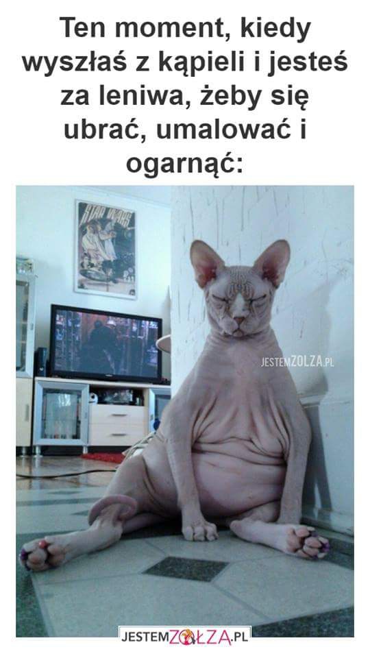 Wpis kobiecepragnienia