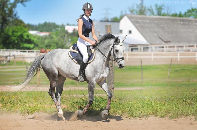 Wpis cocobolero