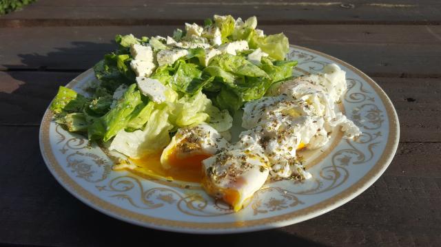 low carb 14