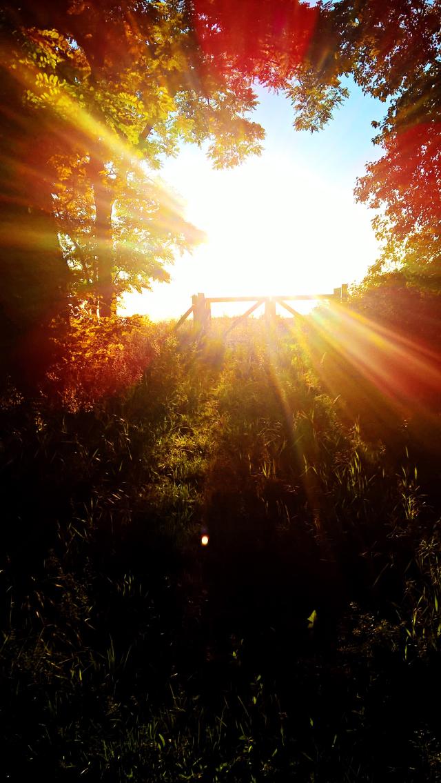 sun