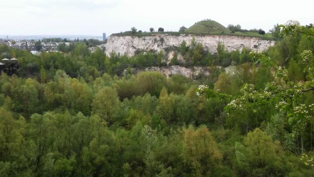 Autorka historyczna