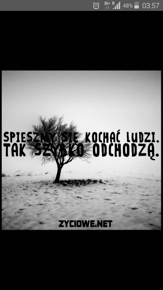 Wpis ciekawezycie
