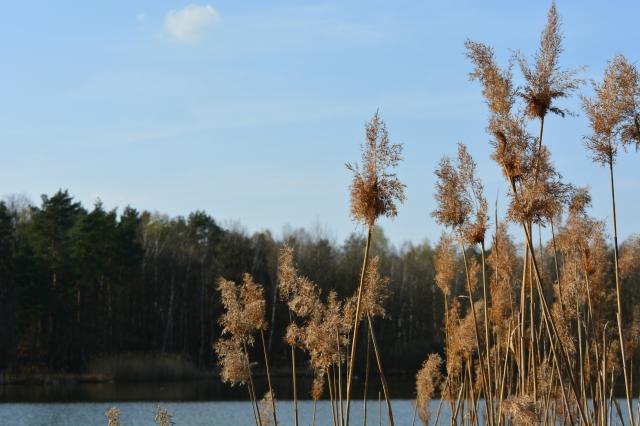 Summer in Poland &#9829;