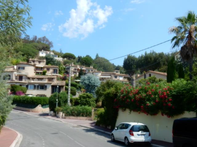 Wpis tibauld