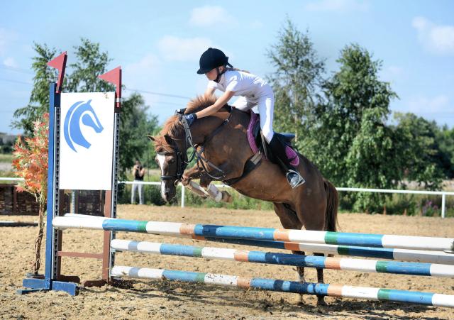 Wpis zgredziuu