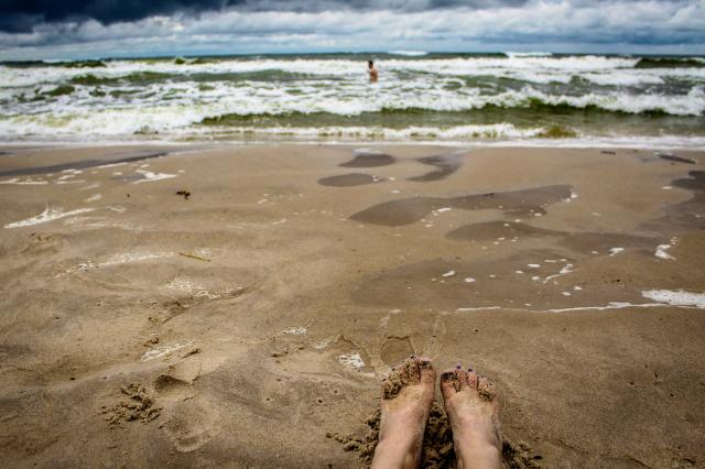 Wpis violazetfotografia