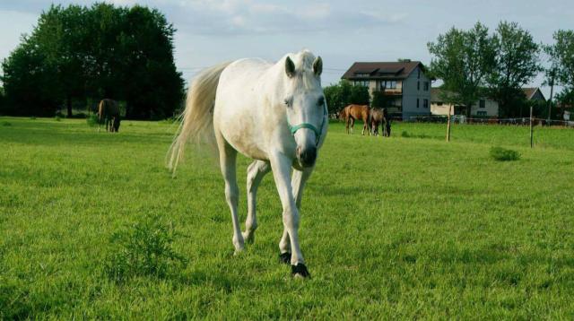 Stworek Potworek :)