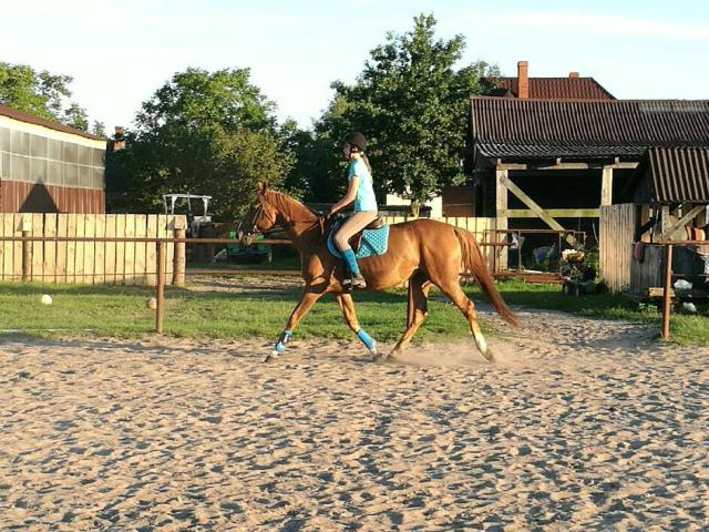 Koniee