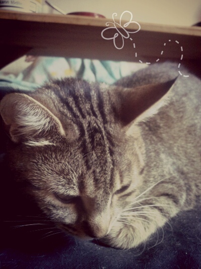 Molly.