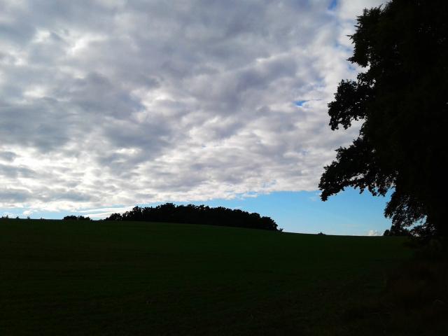 Wpis Dwudziesty drugi