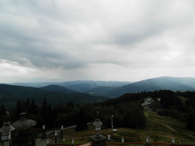 Wpis brzozitta