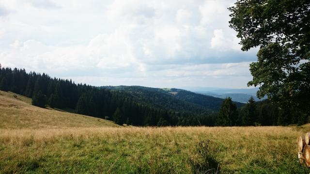 Wpis awiecwojna