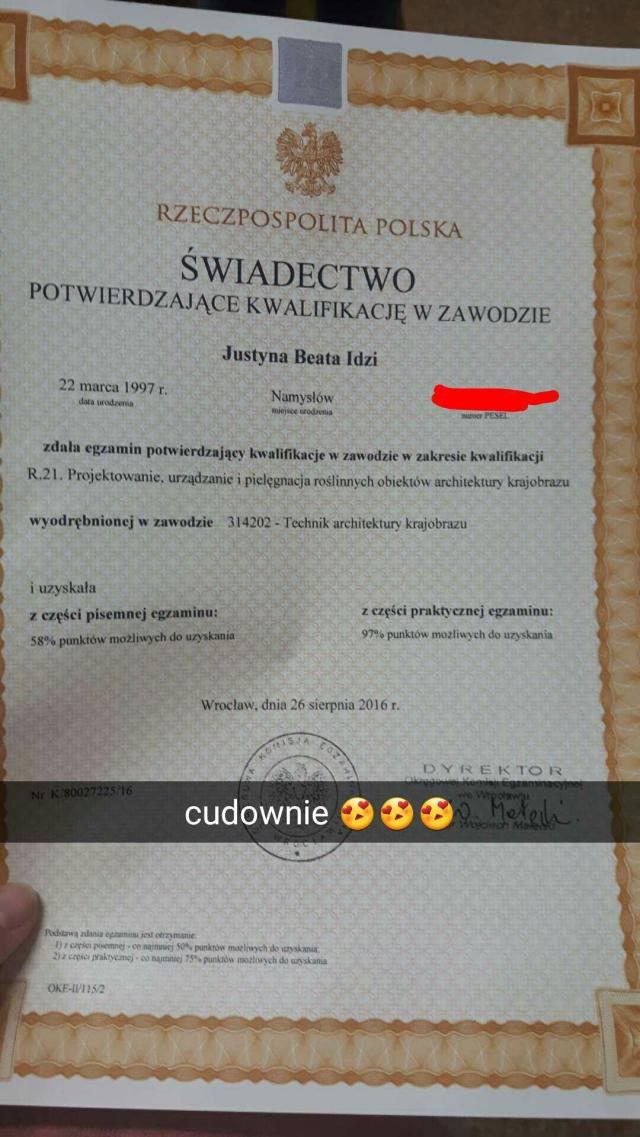 Wpis minimouse97