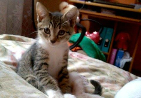 TINAA ^^