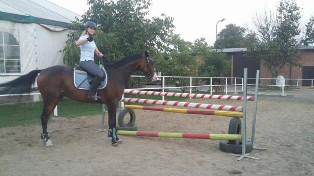 Wpis vanillaslim