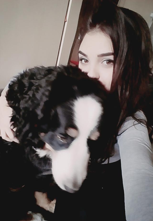 Wpis senssiisyssia